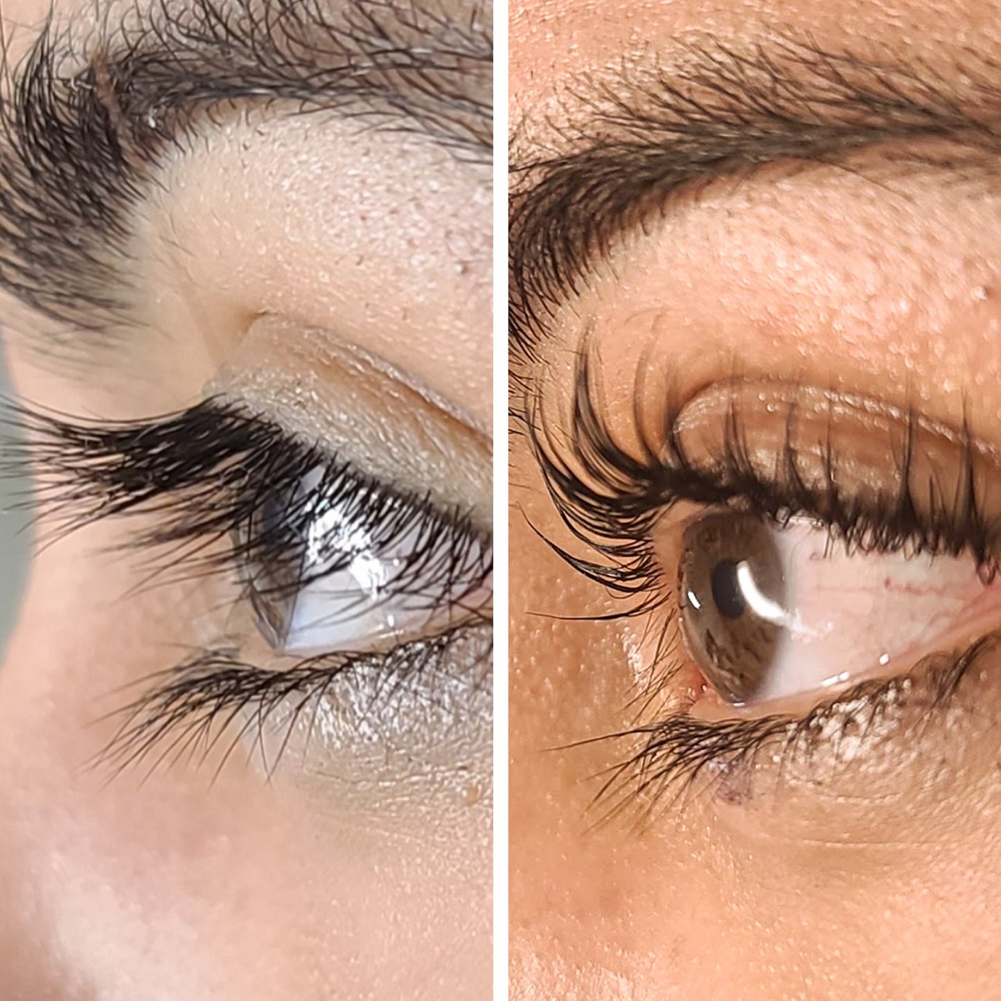 Lash Lift